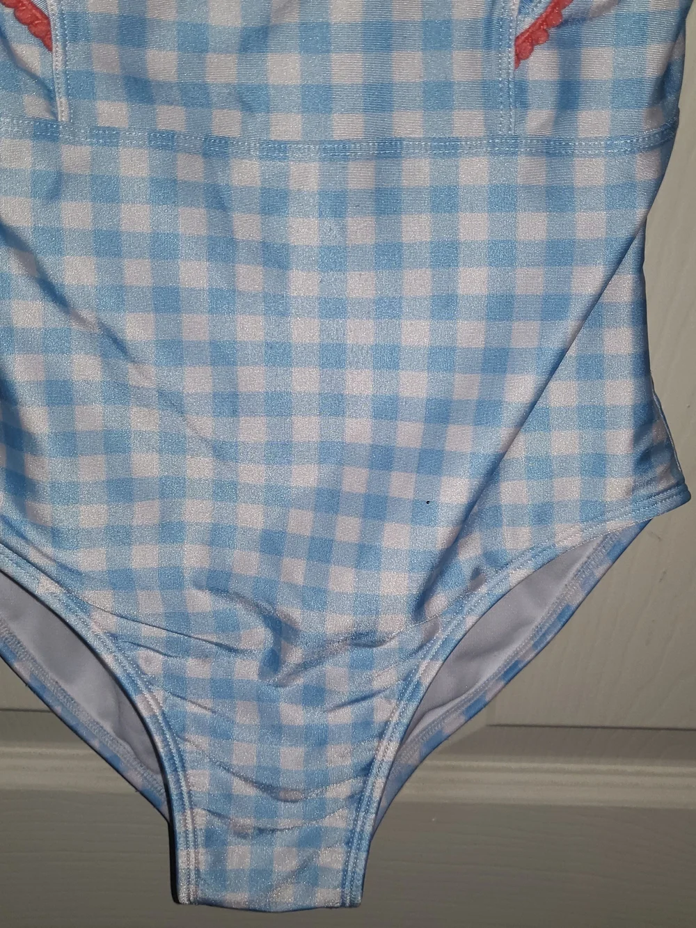 Cat & Jack Girls Blue Gingham Ruffle One-Piece Swimsuit